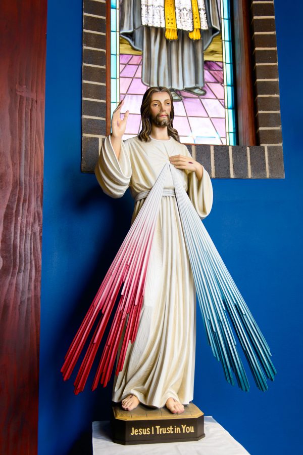 Jesus Divine Mercy DEM-100_49_FR